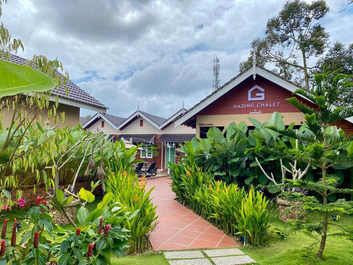 Gading Chalet Kuala Terengganu Exteriér fotografie